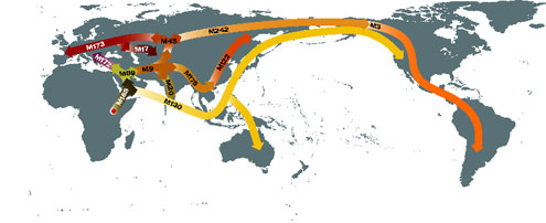 mapa Genográfico