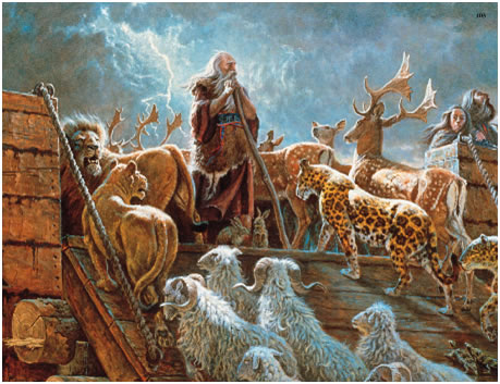 noah2