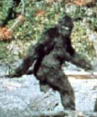 patterson_bigfoot.jpg